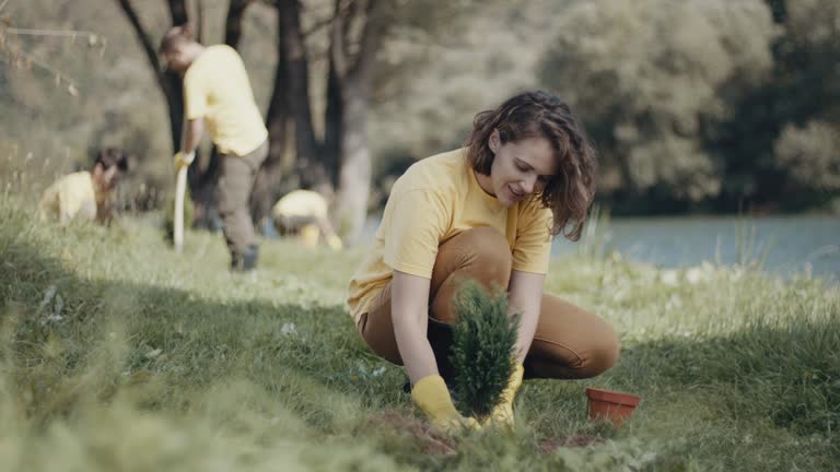 Best Tree Preservation Services  in Twin Lakes, NM