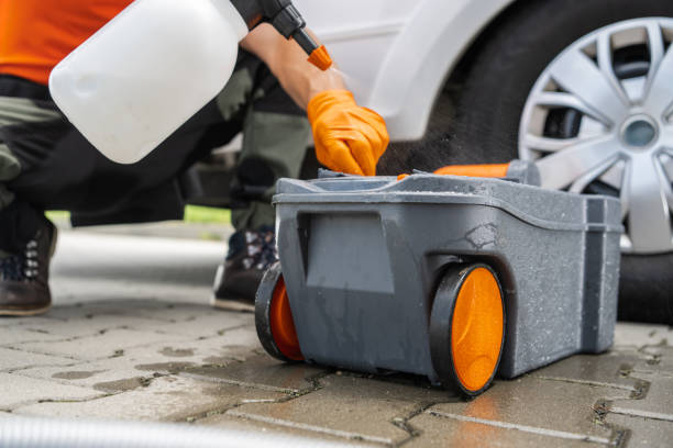 Reliable Twin Lakes, NM Tree Removal Solutions